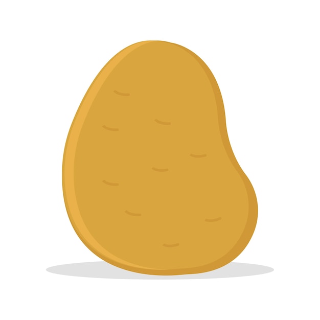 Potato vector illustration great for food vegetables theme