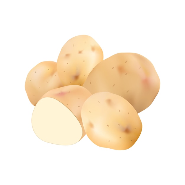 Potato