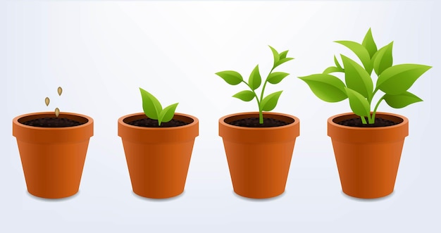 Pots And Green Sprout And Isolated Blue Background