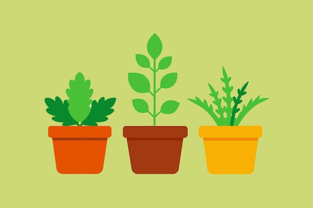 pots of plants with different colors and the words  potted  on them