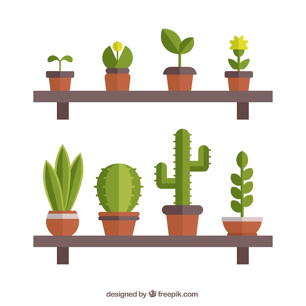 Pots on shelves in flat design