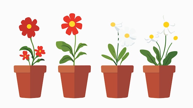 Vector potted flowers isolated icon vector design