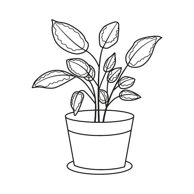 Potted plant in black and white line drawing style