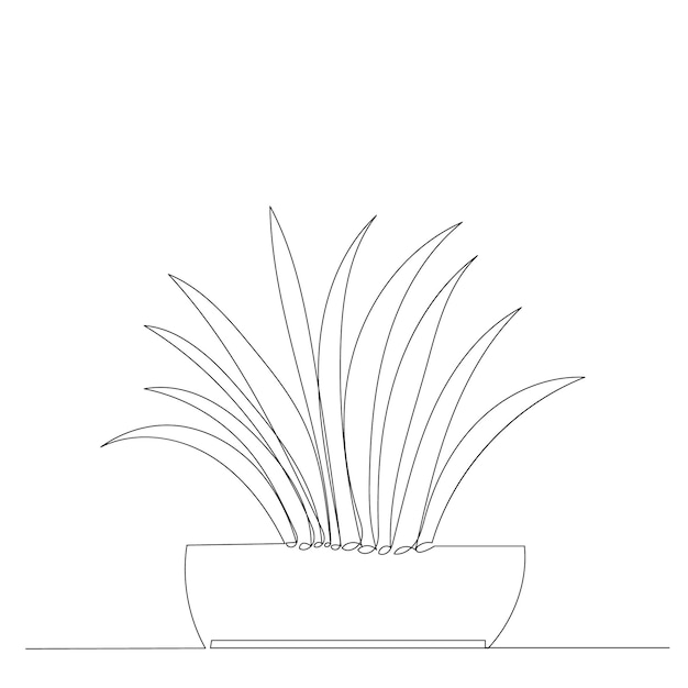 Potted plant drawing in one continuous line