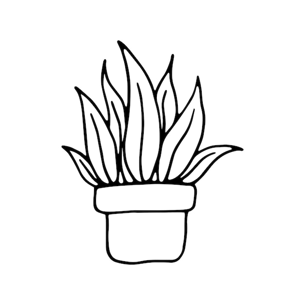 Potted plant potted flower doodle linear cartoon coloring book