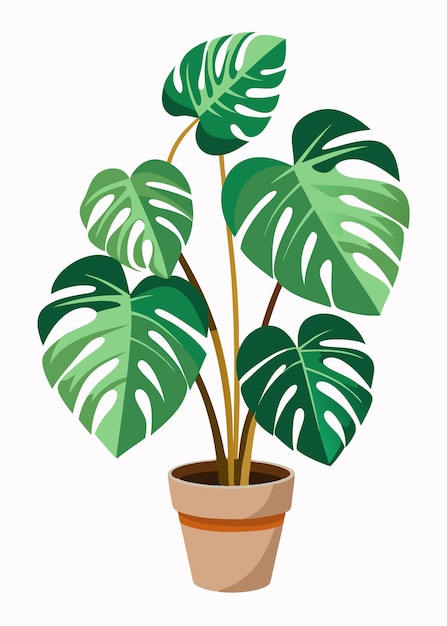 a potted plant with a green leaf that says quot potted quot