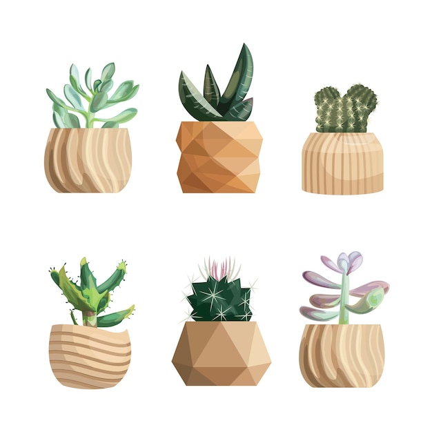 Potted plants collection succulents and house plants hand drawn vector art