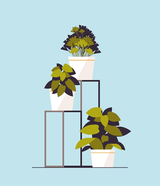 Potted plants icon planting greenhouse botanical garden concept