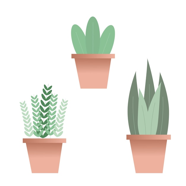 potted plants