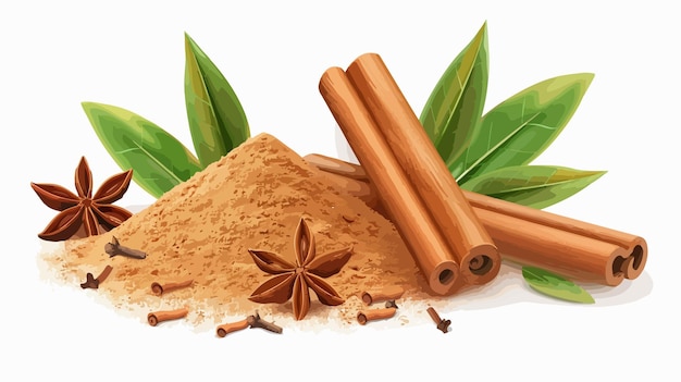 Powder with Cinnamon Sticks Anise and Leaf on White Background