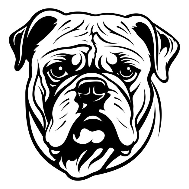 Vector a powerful black and white illustration of a bulldogs face showcasing its strong features and determined expression