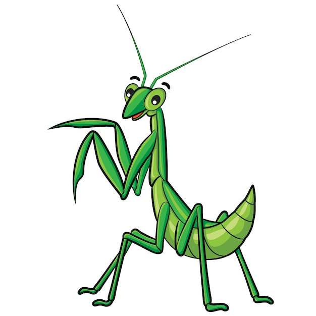 Praying mantis Cartoon