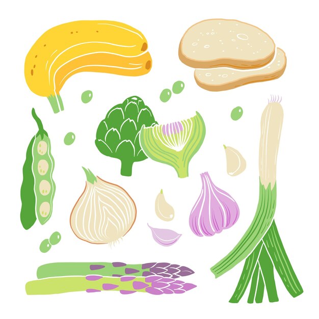 Prebiotic products sources of these bacteria nutrient rich food Flat vector illustration of soy beans asparagus onion banana garlic artichoke Vegetables and fruit for gut health