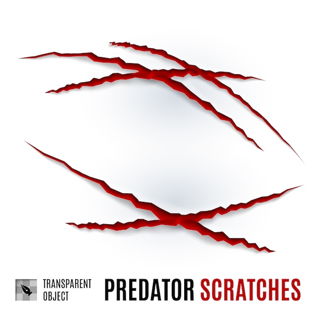 Predator Scratches