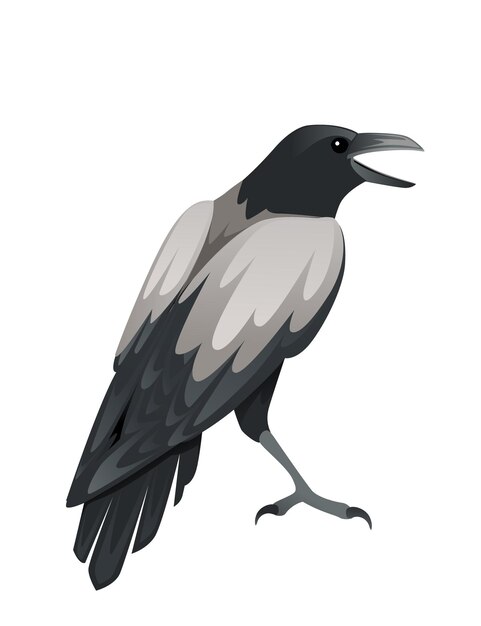 Vector predatory bird adult black and gray crow cartoon animal design birds of prey character flat vector illustration isolated on white background