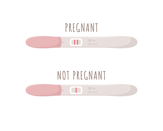 Pregnancy test with positive and negative results.