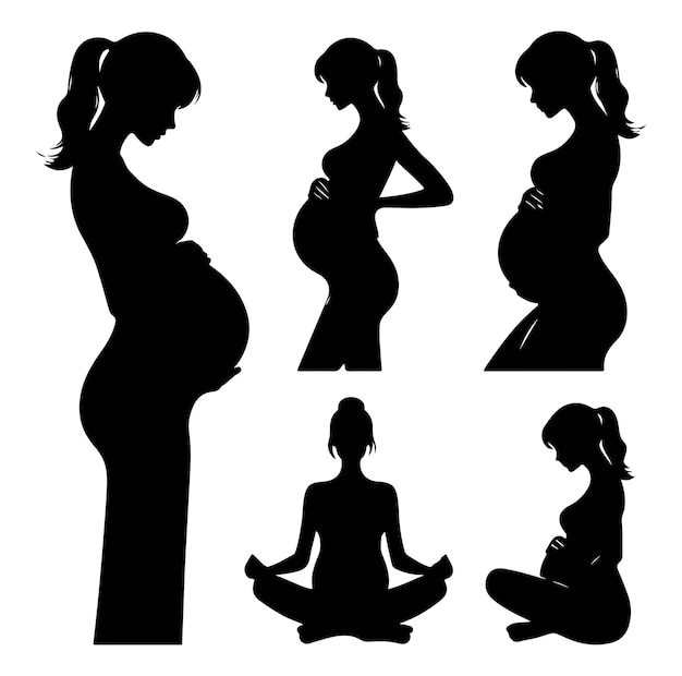 Vector pregnant lady silhouette vector illustration on white background