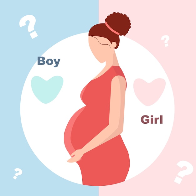 Pregnant woman awaiting baby boy or girl Illustration in flat style