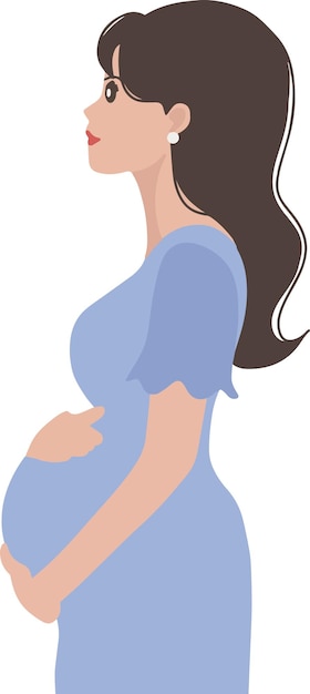 Pregnant woman vector illustration of pregnancy