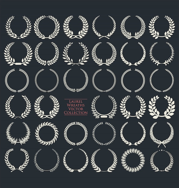 Vector premium quality laurel wreath