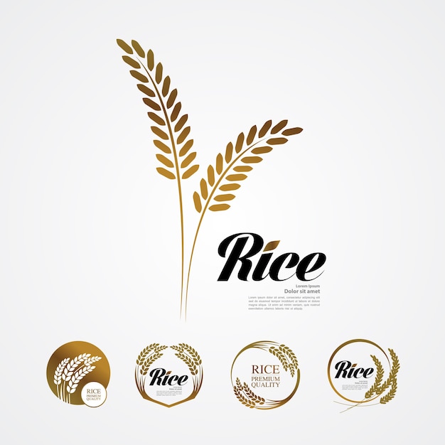 Premium Rice great quality design concept