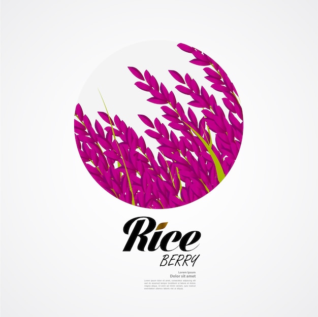 Premium Rice great quality design concept