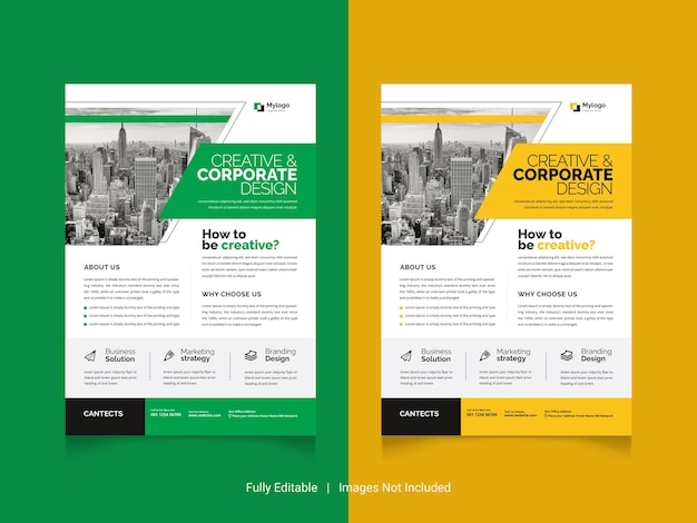 Vector premium template with 2 color variations for minimalist business flyers