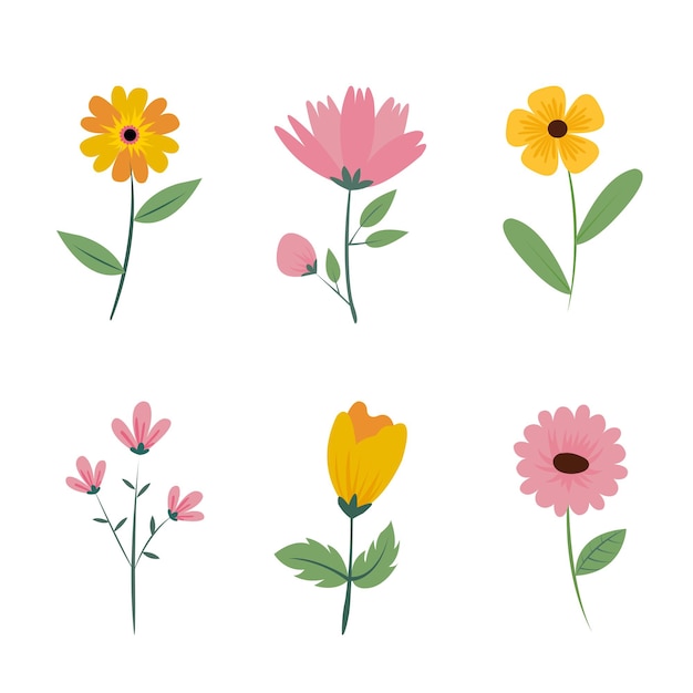 Premium Vector Hand Drawn Flowers Collection Design Image