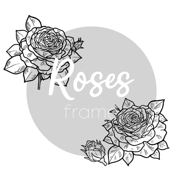 Vector a pretty decorative frame of hand drawn roses