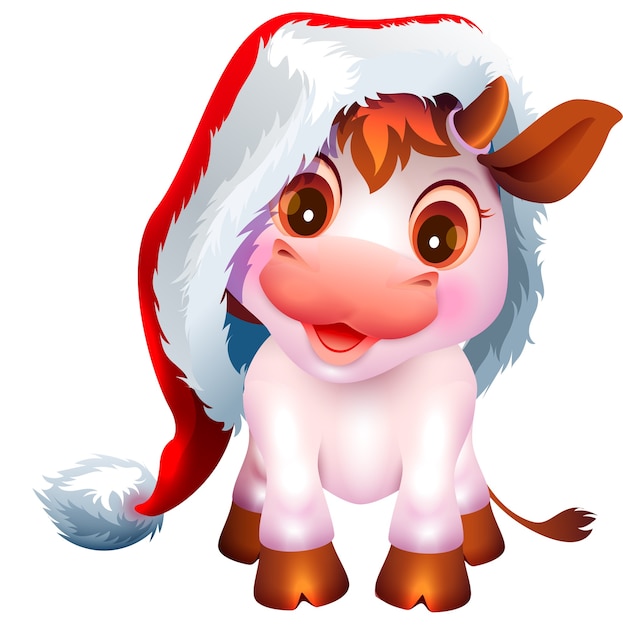 Pretty white cow calf symbol of 2021 new year. Nice baby bull in santa claus hat. Isolated on white cartoon illustration