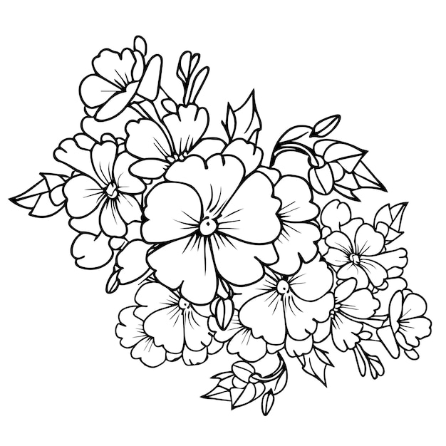 primrose flower coloring page evening primrose drawing illustration primrose drawing easy