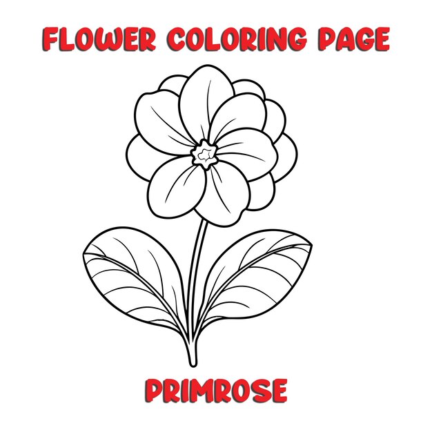 Vector primrose flowers coloring book for kids