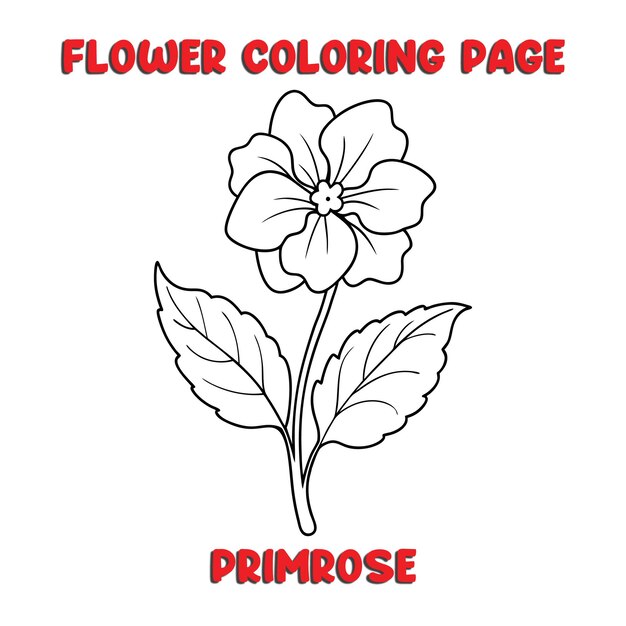 Vector primrose flowers coloring book for kids