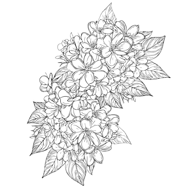 primula flower drawing primrose flower coloring page Oenothera rosea line drawing tattoo art