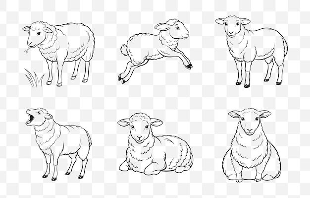 Print Sheep Line Art Vector Set Detailed Illustrations of Sheep in Minimalist Line Art Style Perfect