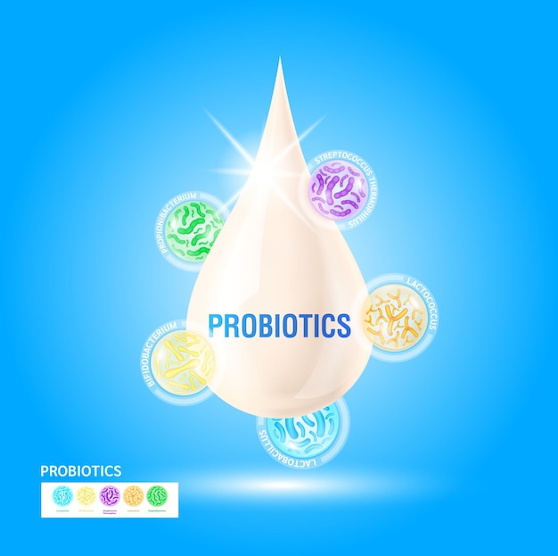 Probiotics lactic acid bacterium in milk yogurt Digestion healthcare concept