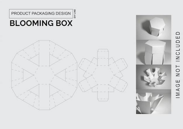 Product Packaging Design blooming box