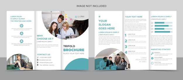 Professional business trifold brochure design