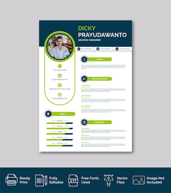 Professional curriculum vitae template