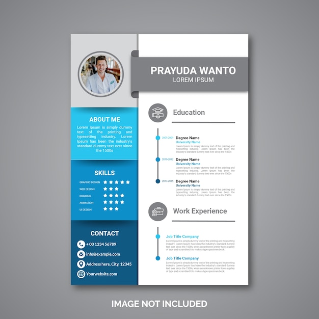 Professional curriculum vitae template