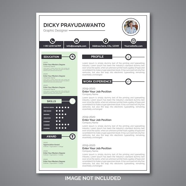 Professional curriculum vitae template