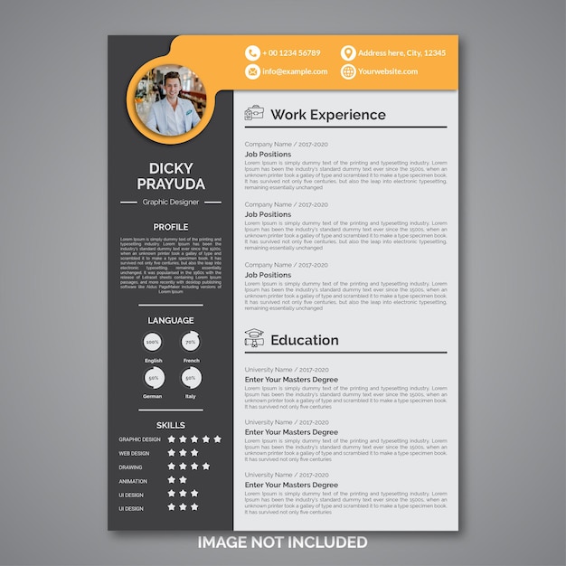 Professional curriculum vitae template