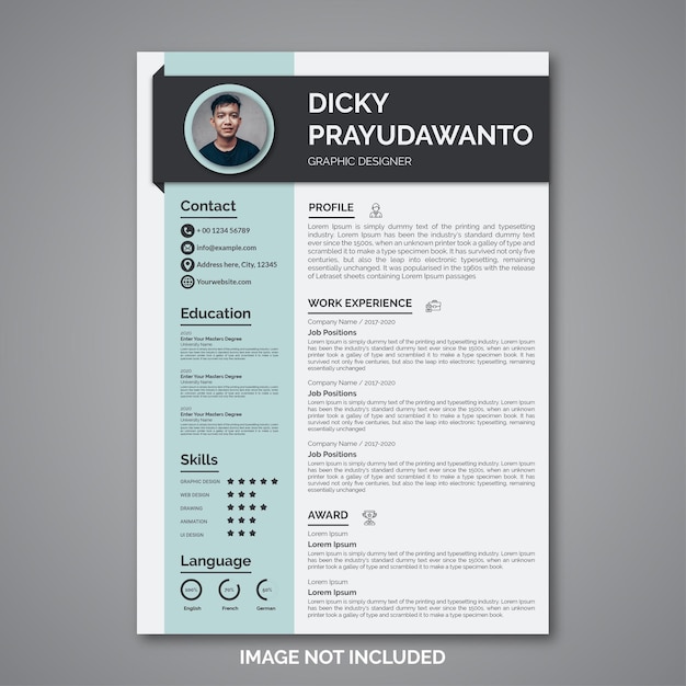 Professional curriculum vitae template