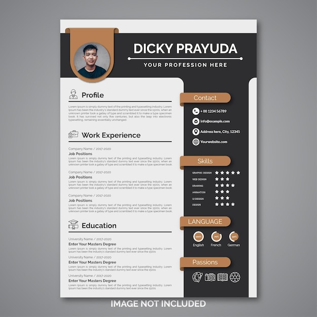 Professional curriculum vitae template