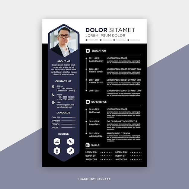 Professional curriculum vitae template