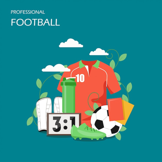 Vector professional football flat style  illustration