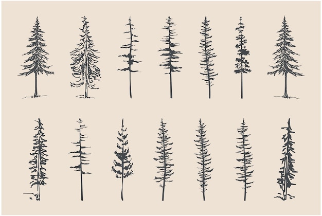 professional pine trees silhouette vector art