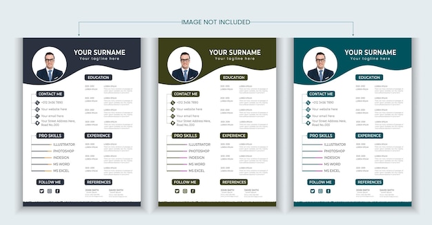 Professional Resume or CV Design Template Vector Design