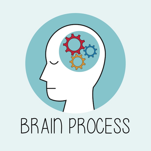 Profile human head brain process