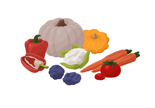 Proper nutrition healthy food Organic farm vegetables cauliflower bell pepper tomato carrot pumpkin Vegetarian diet wholesome eating Flat isolated vector illustration on white background